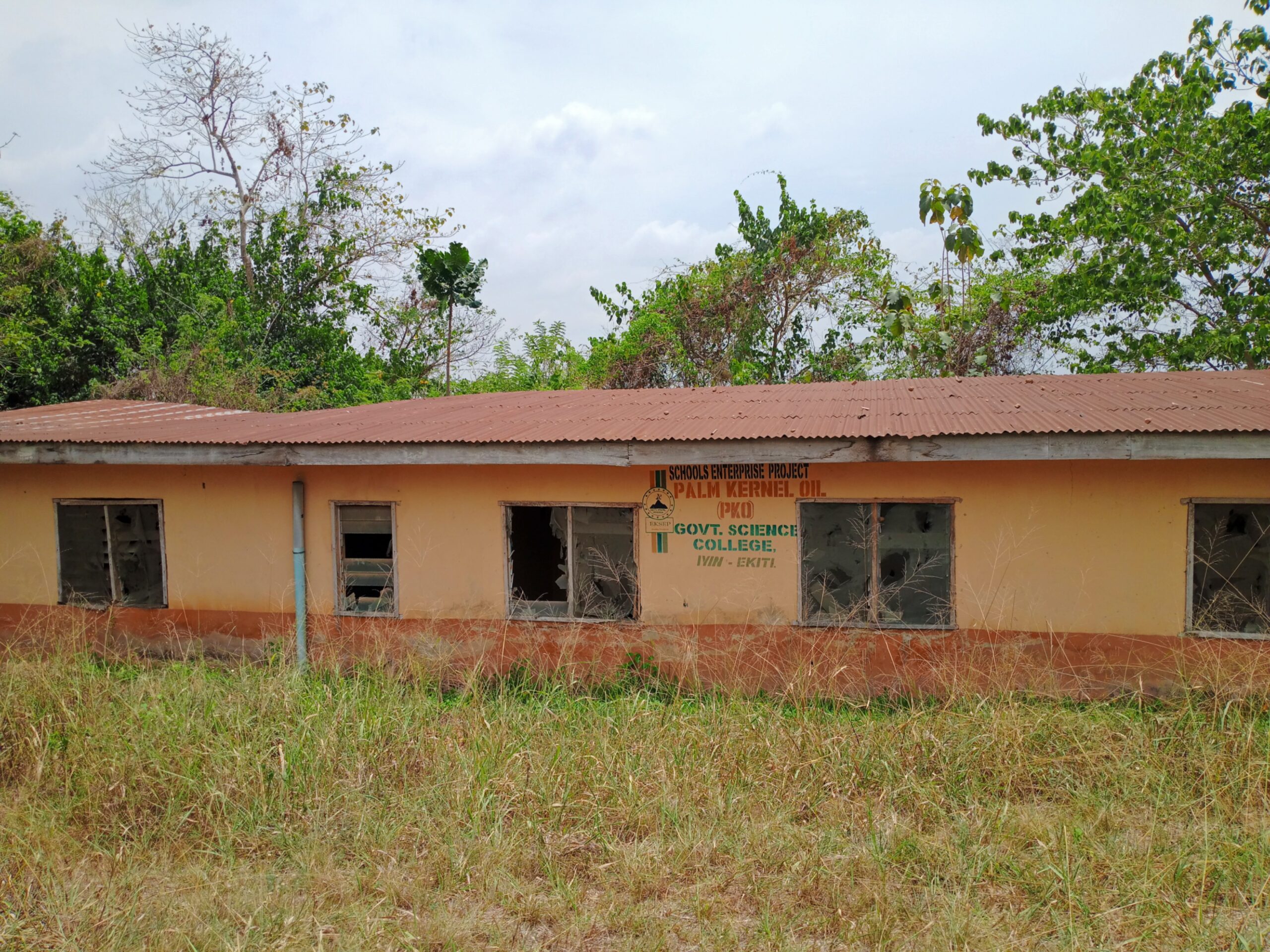 The neglected Palm Kernel oil industry in Government Science College, Iyin Ekiti.