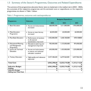 A screenshot of estimated costs of some programmes outlined in the MTSS