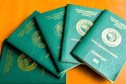 26055583 new international passport2028129 1