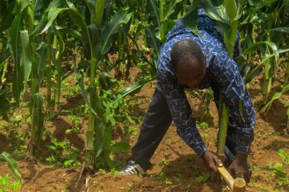 Malawi s blind farmer 1 big28129