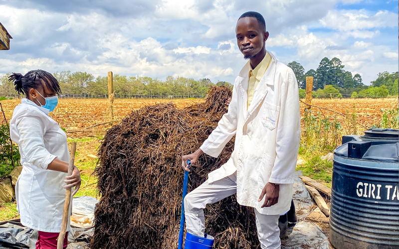 A Kenyan farmer is passing down lessons to meet mushroom demand 2