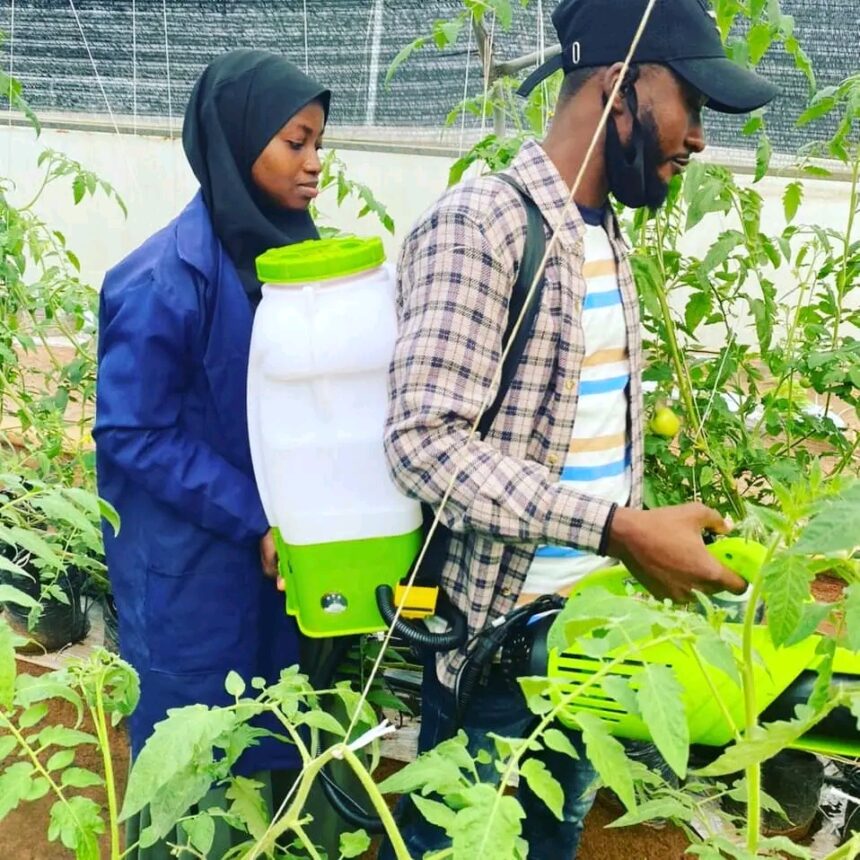 El nathan leads a team member to inspect one of the few smart hydroponic farming systems in the country. Photo credit: Smartel Agro.
