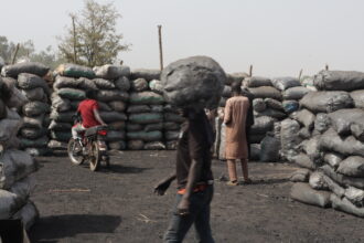 Bags containing charcoal stacked in a site. Photo credit: Ekpali Saint