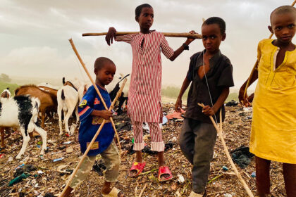 Some of the pupils master the art of livestock care within their close-knit community. Although they now have access to formal education, they are remembering their roots. Photo: Abubakar Muktar Abba/HumAngle. 