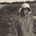 A Black slave on a cotton field.