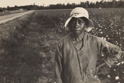 A Black slave on a cotton field.