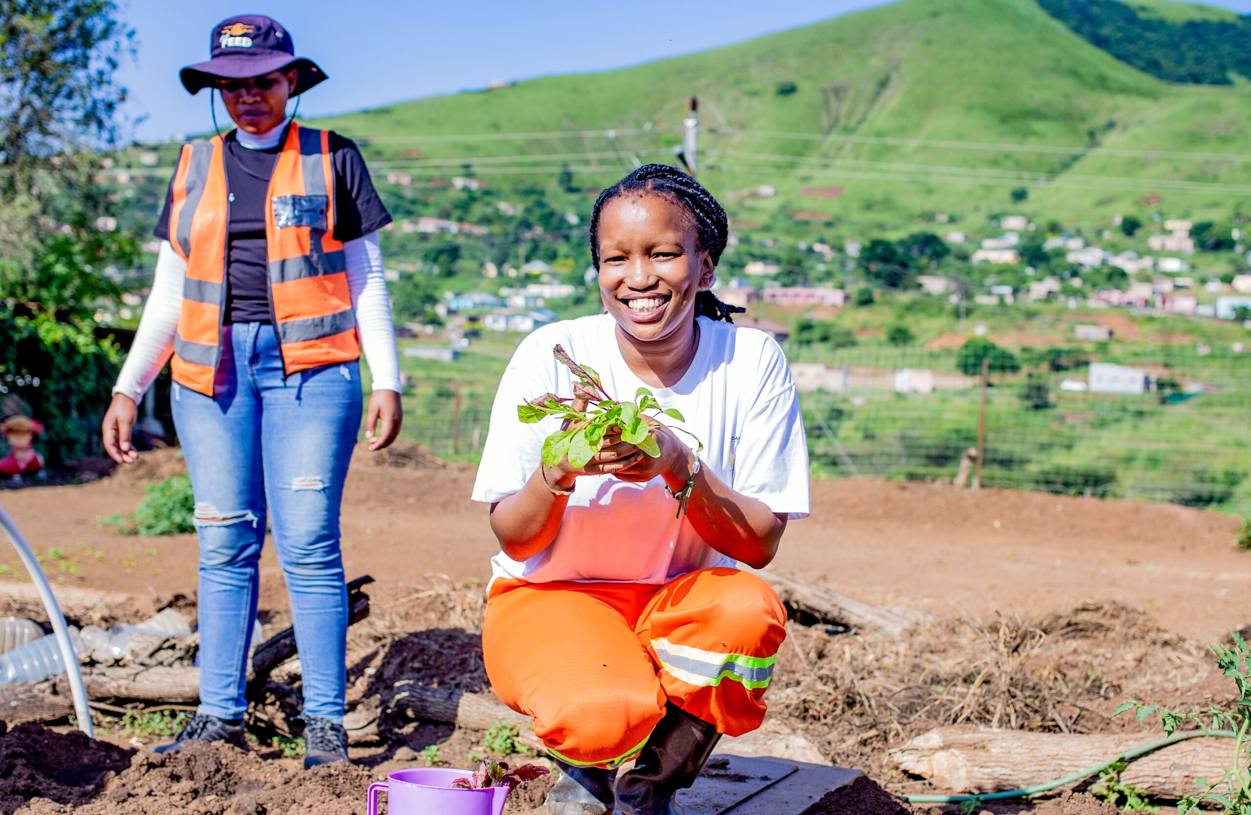 South Africa sustainable farming