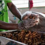 An employee crushing ginger at Meannan Foods in Afienya-Mataheko near Tema in the Ningo-Prampram District of the Greater Accra Region. Photo credit: bird story agency
