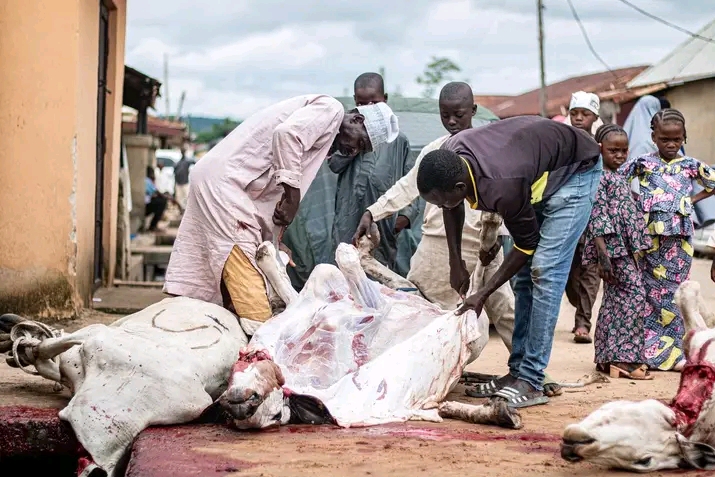 A scene where a cow was slaughtered during Eid celebration. Photo credit: Sadiq Mustapha.