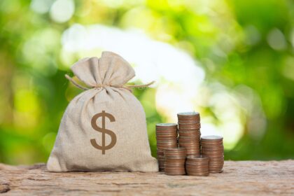 A close-up picture of a pile of coins and a sack of coins. Photo credit: Bird story agency