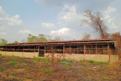 The forgotten poultry in Government College Oye Ekiti Poultry.