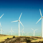 Wind farm on farmland. Photo credit: Bird story agency