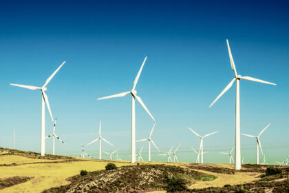 Wind farm on farmland. Photo credit: Bird story agency