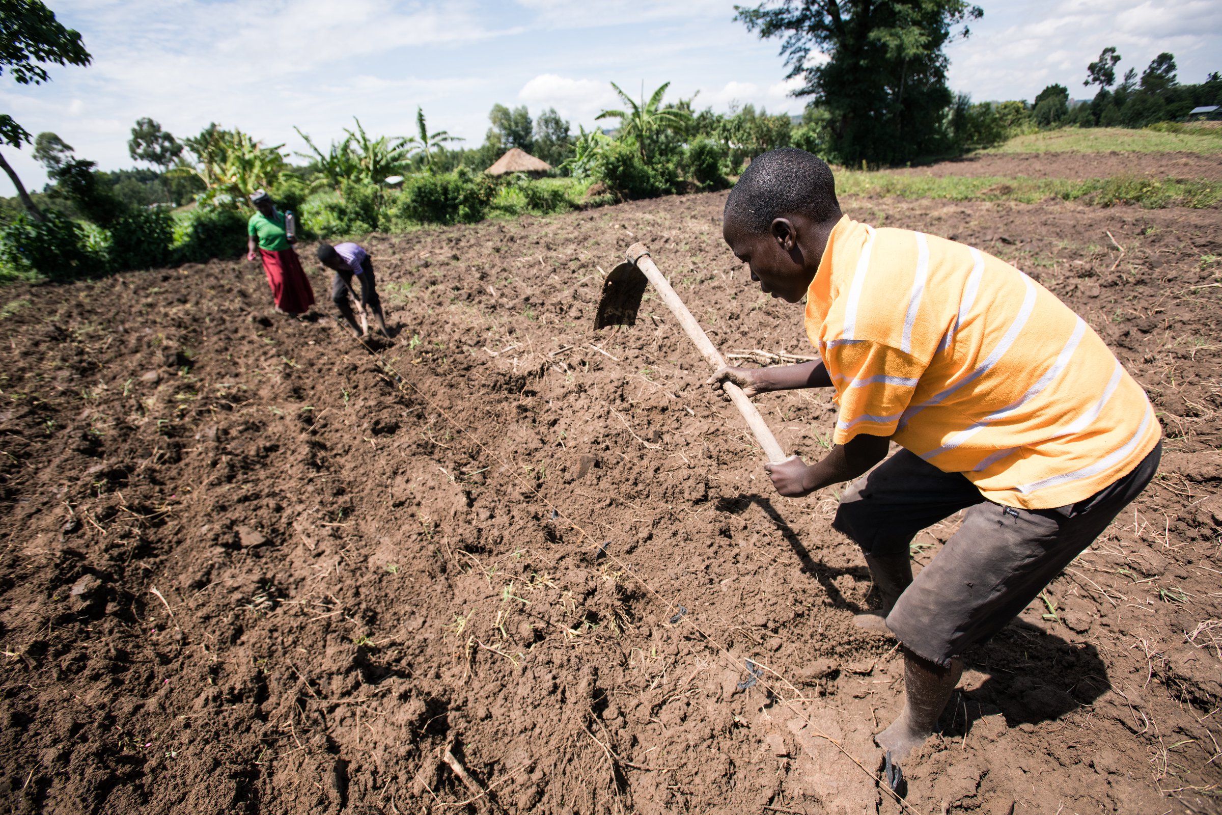 Jos heatwaves Prime Progress