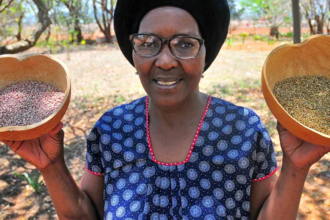 Organic farmer and mentor Rosa Ramaipadi works with a network of rural farmers in Limpopo to promote agroecological farming practices. (Photo: Lucas Ledwaba / Mukurukuru Media)