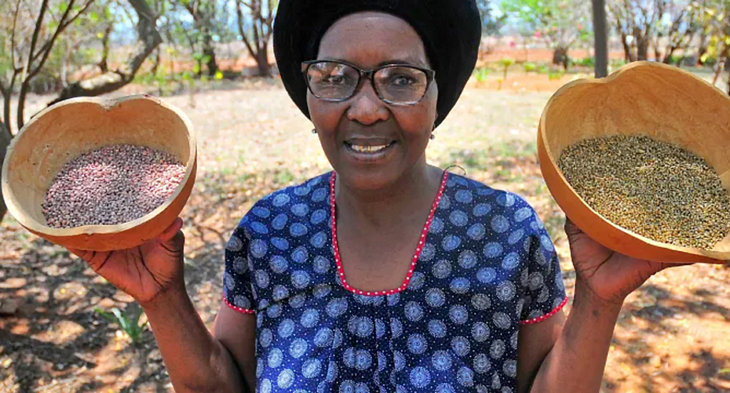 Organic farmer and mentor Rosa Ramaipadi works with a network of rural farmers in Limpopo to promote agroecological farming practices. (Photo: Lucas Ledwaba / Mukurukuru Media)