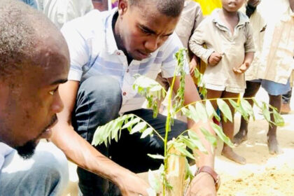 Ali Yerima trying to adjust and water a newly planted tree in Gomboru Liberty Area, Borno State. Photo credit: Rukaiya Ahmed Alibe