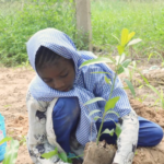 A young schoolgirl plants a tree in her school yard. Photo credit: BGYDI