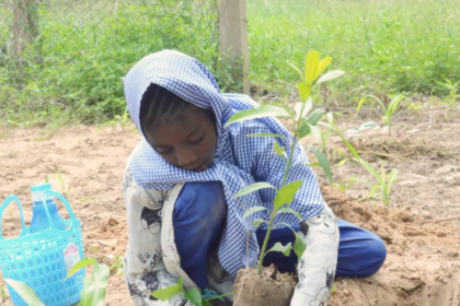 A young schoolgirl plants a tree in her school yard. Photo credit: BGYDI