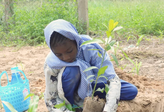 A young schoolgirl plants a tree in her school yard. Photo credit: BGYDI