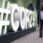 COP29