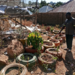 John in Gwarandok Community Garden. Photo credit: Nanji Nandang/Prime Progress