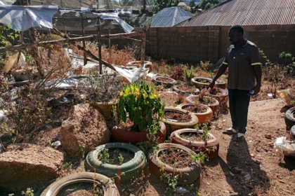 John in Gwarandok Community Garden. Photo credit: Nanji Nandang/Prime Progress