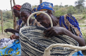 Members of Mwende Munyanya Women's Group weaving sisal baskets in Katangi, Kenya. Photo: bird story agency