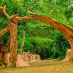 Osun sacred grove. Photograph: Rex Clarke Adventures