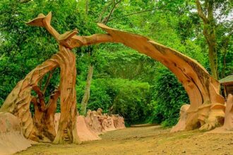 Osun sacred grove. Photograph: Rex Clarke Adventures