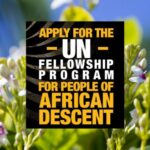 UN fellowship program for People of African Descent