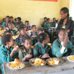 Primary school free feeding programme