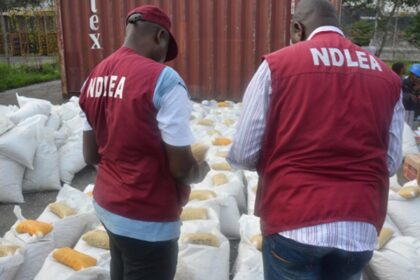 The NDLEA's bold fight against drug trafficking