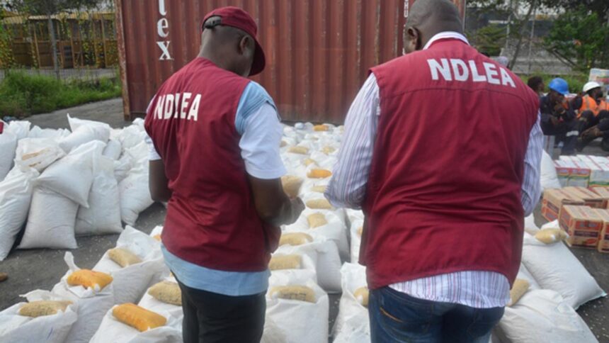 The NDLEA's bold fight against drug trafficking