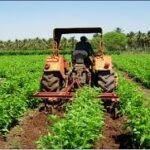 Tinubu’s mechanisation plan targets food crisis