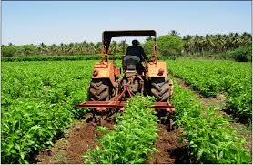Tinubu’s mechanisation plan targets food crisis