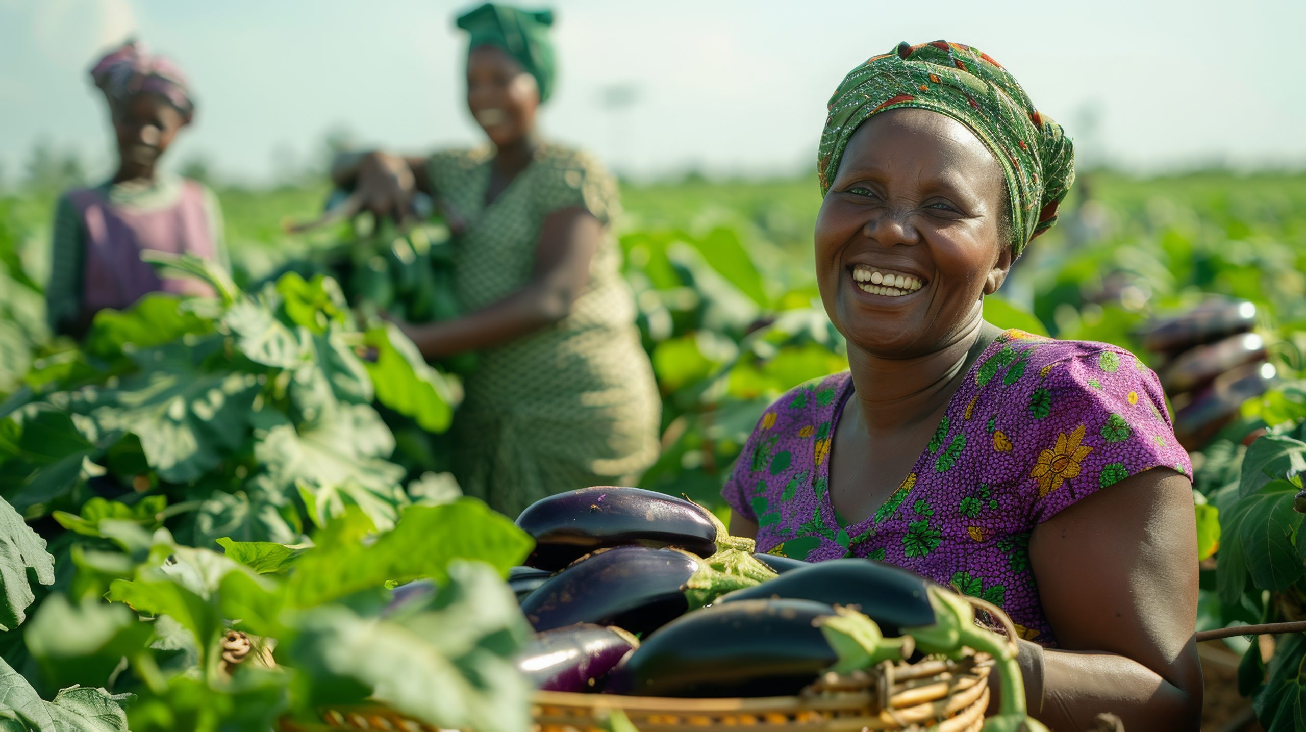 african people harvesting vegetables 1 scaled