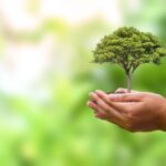 $20K and $5K Grants for Environmental Photography Projects