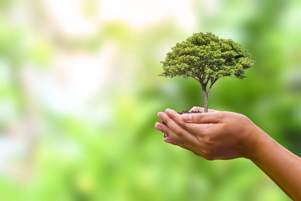 $20K and $5K Grants for Environmental Photography Projects