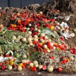 Morocco Launches $300K Grant to Tackle Food Waste