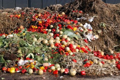 Morocco Launches $300K Grant to Tackle Food Waste