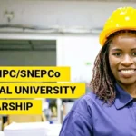 NNPCSNEPCo National University Scholarship