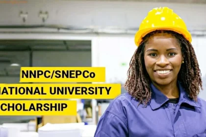 NNPCSNEPCo National University Scholarship