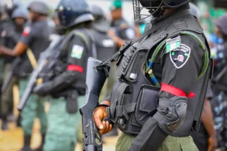 Nigeria Police Force TheCable Stock Photo 15 1045x697