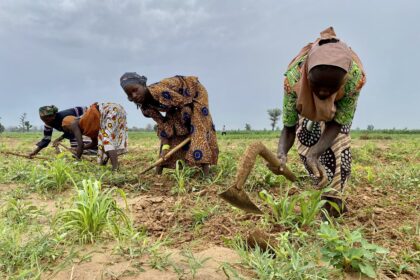 Nigerian farmers.