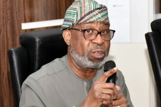 Nigeria's Minister of Solid Minerals Development Dele Alake