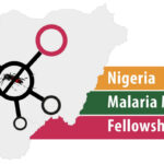 mmf logo