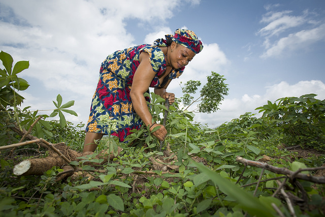 Agriculture in Nigeria