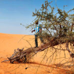 DESERTIFICATION 1221 NIGERIA MURTALAABDULLAHI YW 0208