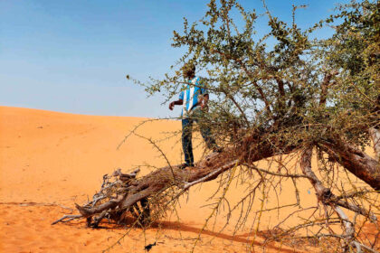 DESERTIFICATION 1221 NIGERIA MURTALAABDULLAHI YW 0208
